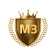 مستوى 3